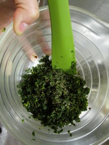 This is what herbs look like when "ground" in a food processor